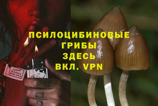 мдпв Алзамай