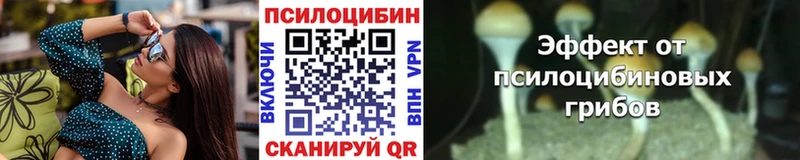 купить наркоту  Асино  Псилоцибиновые грибы MAGIC MUSHROOMS 